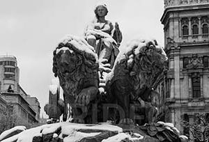 Mayestática Cibeles.