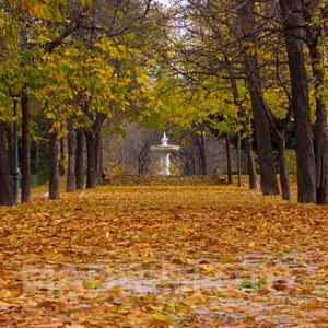 Otoño en el Retiro.